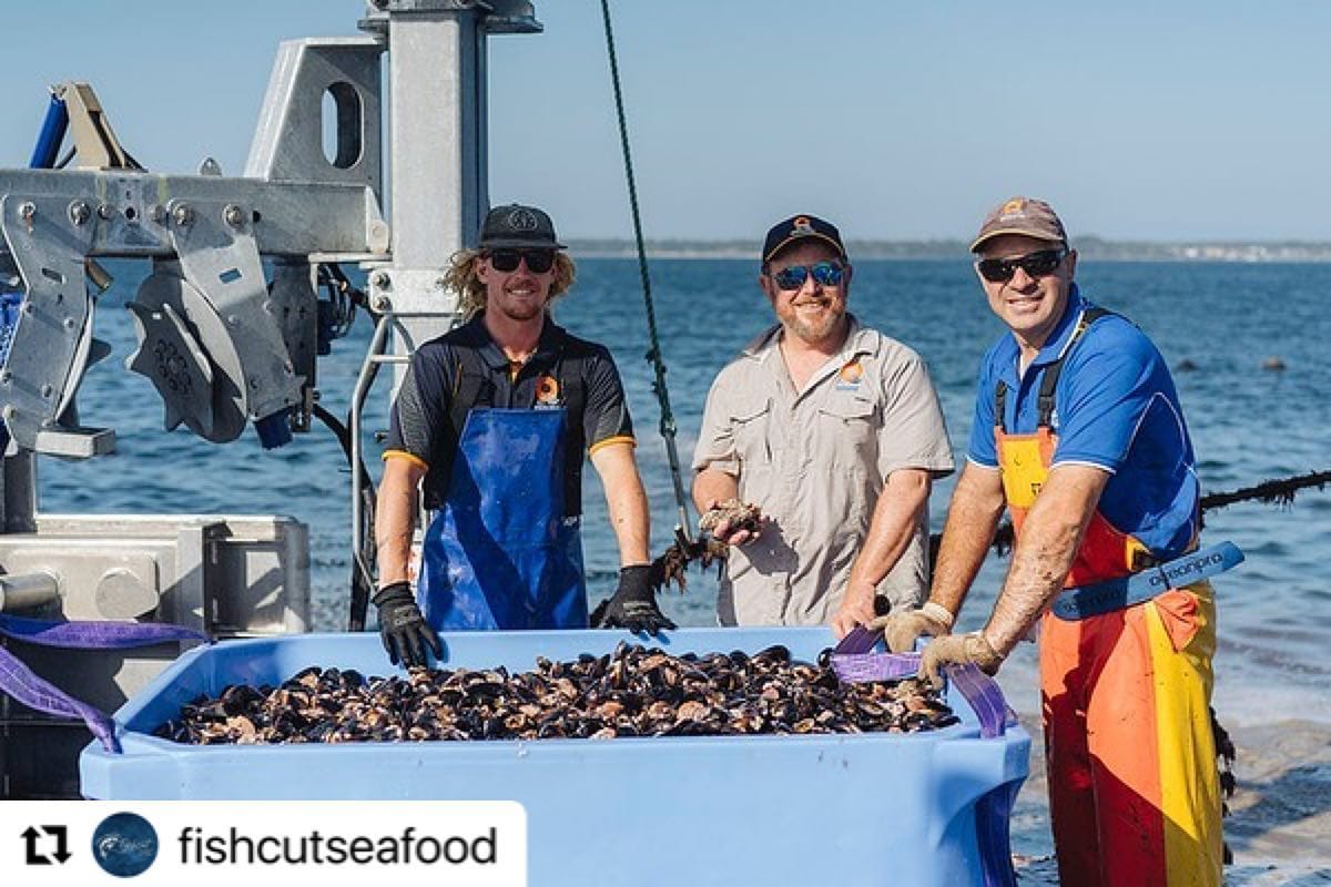 Fisheries flex to bulk up Jervis Bay Mussel Farm
