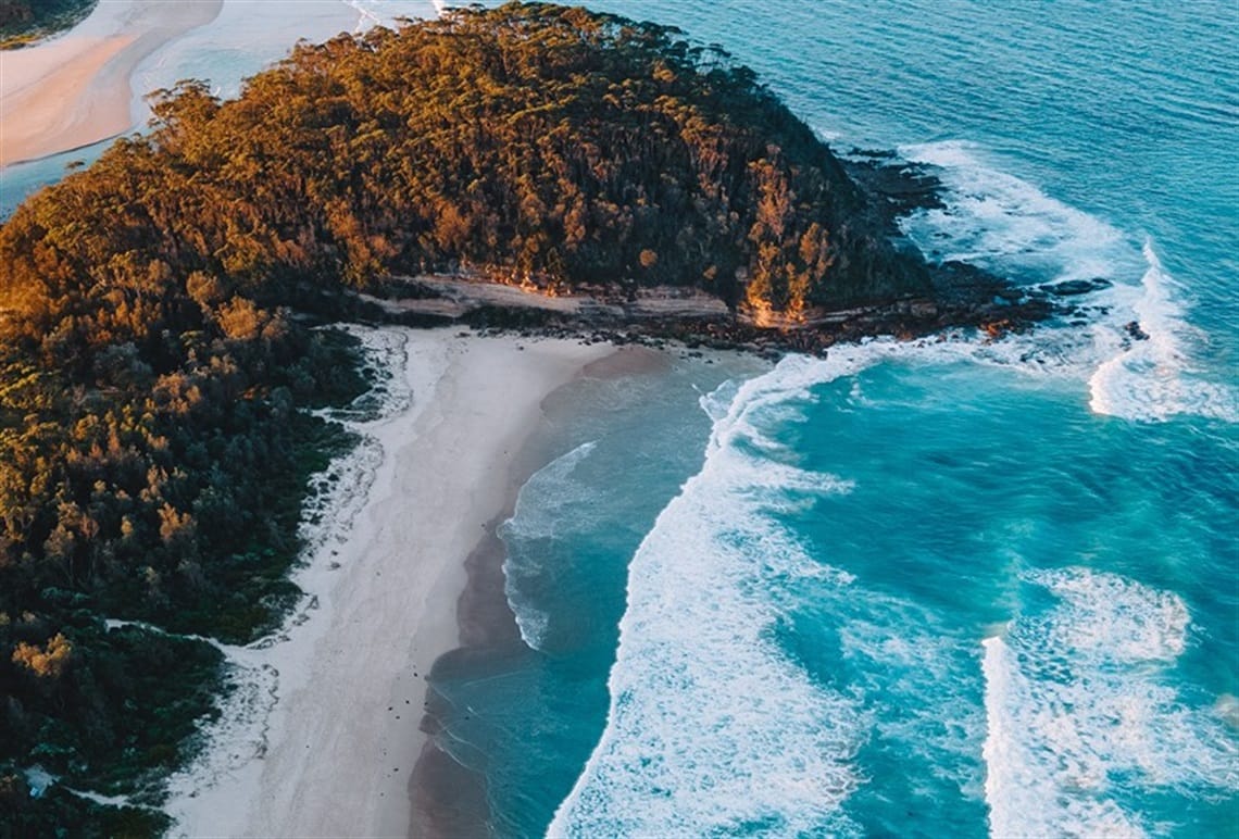 Liza Butler Takes Patricia White's Claims to the Minister