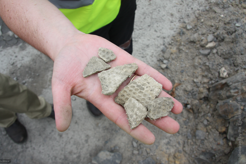 Toxic City: Asbestos, Amnesia, and the Collapse of Care