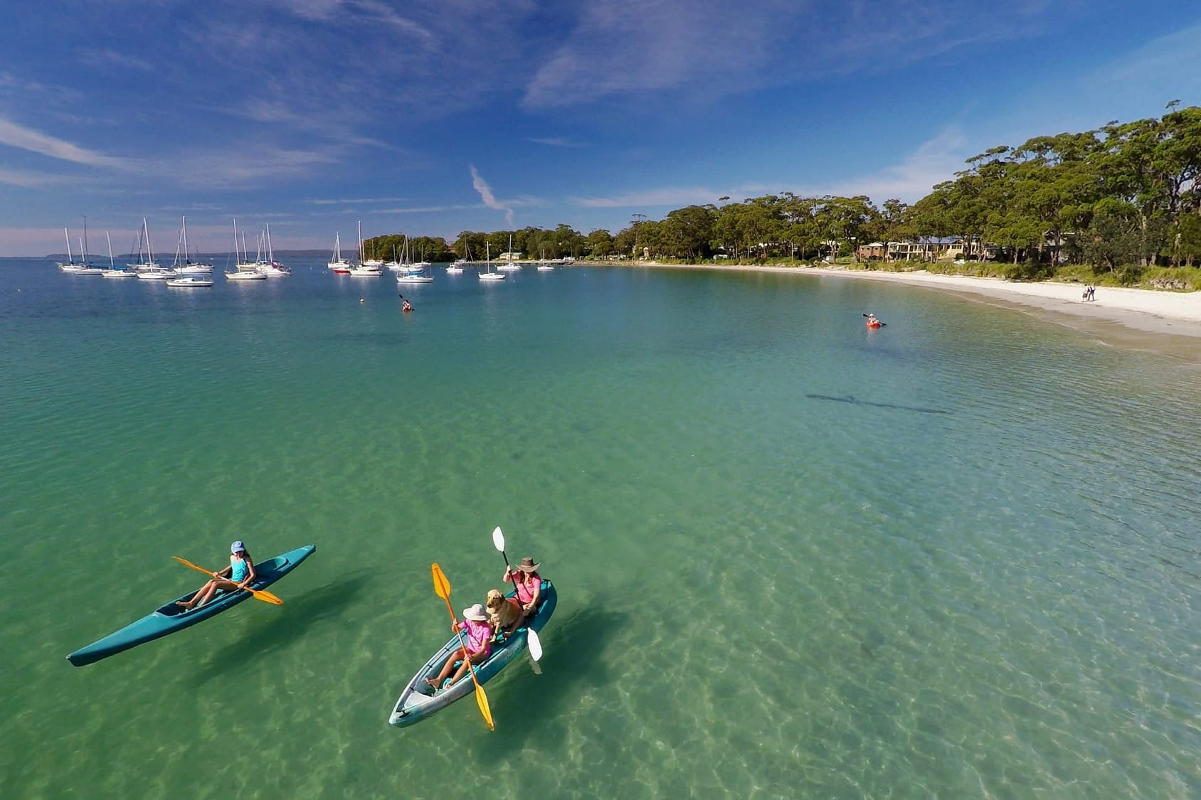 Council was right to scorch town forums, but wrong to burn them to the ground.