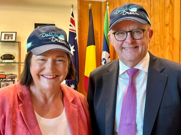 Power prices, payback and preferences