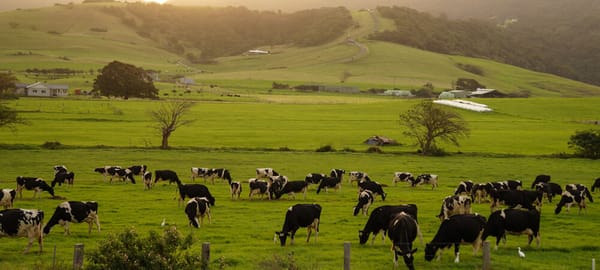 Another good reason to bury those old knickers.