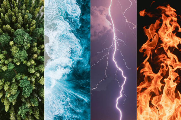 Earth, Water, Air & Fire: How environmentalists occupy Australia's radical centre.